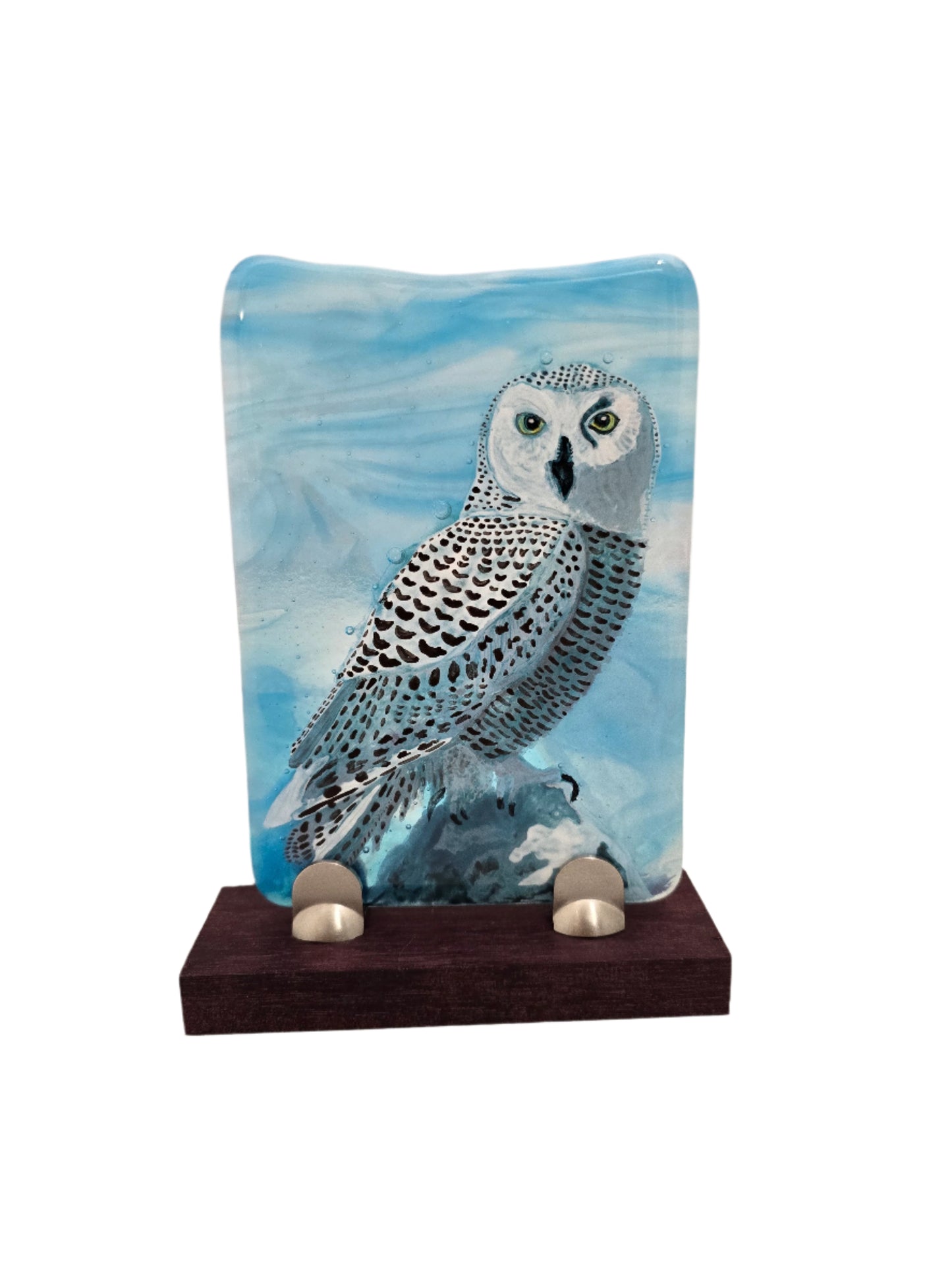 Owl Fused Glass