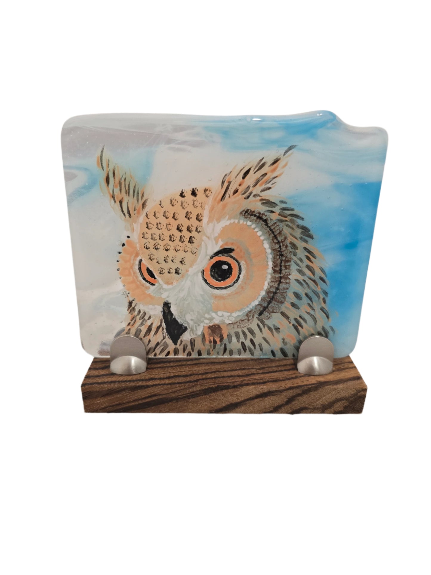 Owl Fused Glass