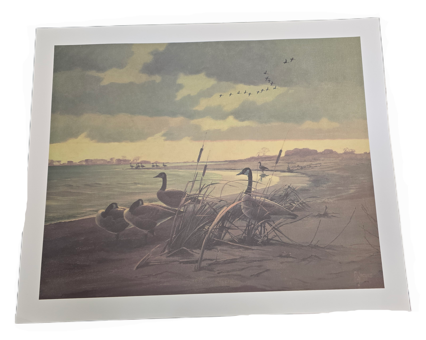 Print  Jaques PauseInTheJourne