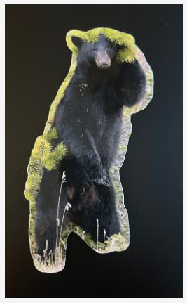 Black Bear Sticker
