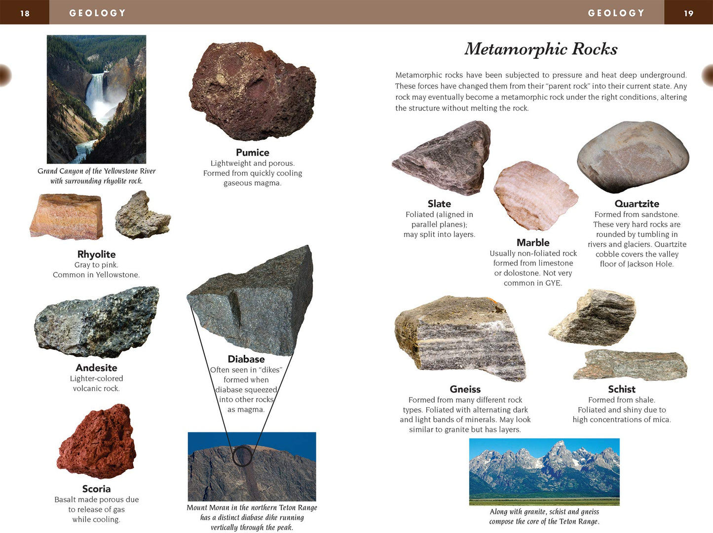 A Field Guide to Yellowstone and Grand Teton National Parks