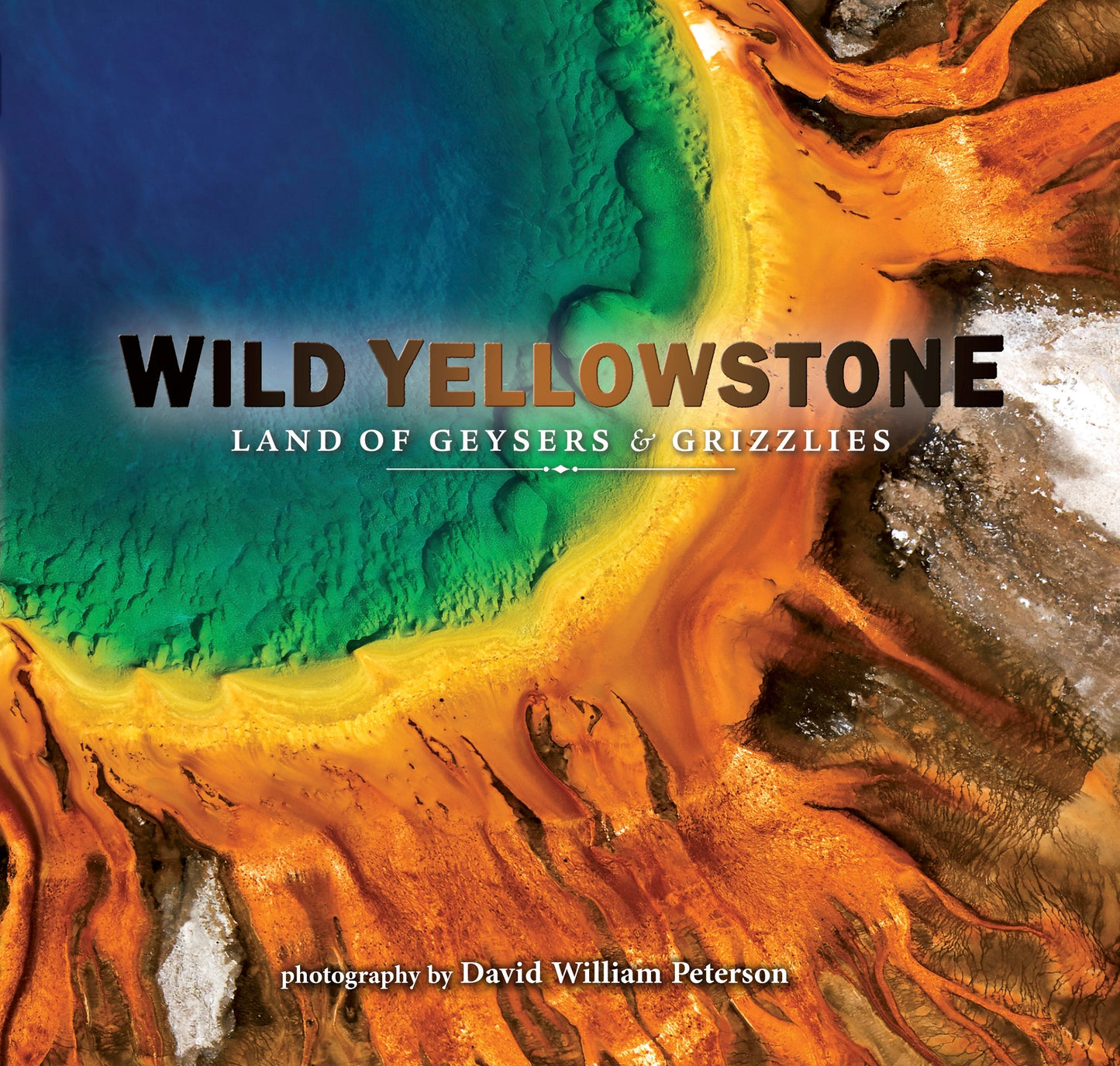 Book Wild Yellowstone: Land of Geysers & Grizzlies