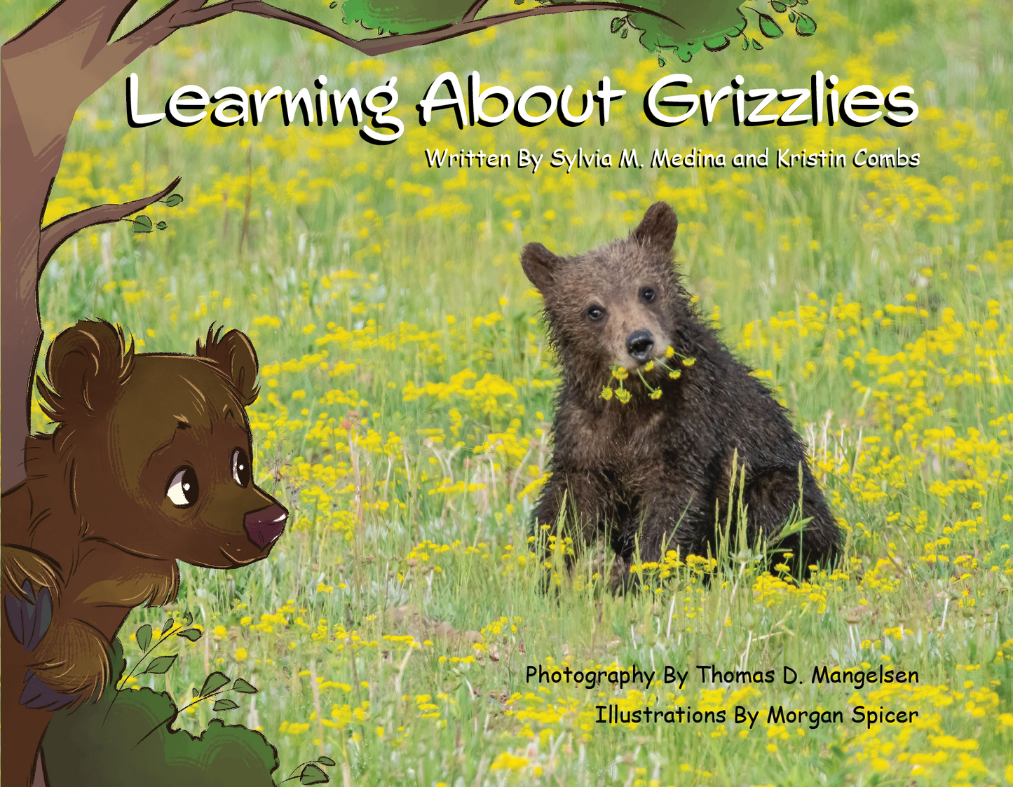 Learning about Grizzlies (Teton)