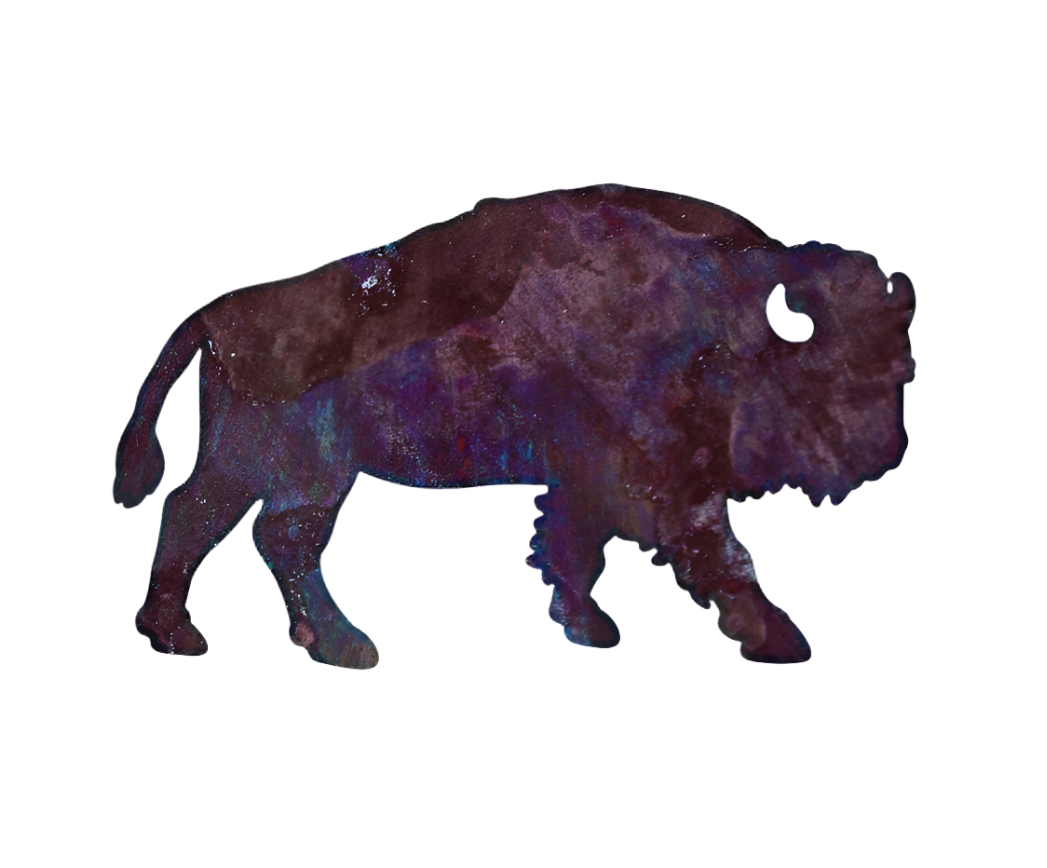 Bison Magnet