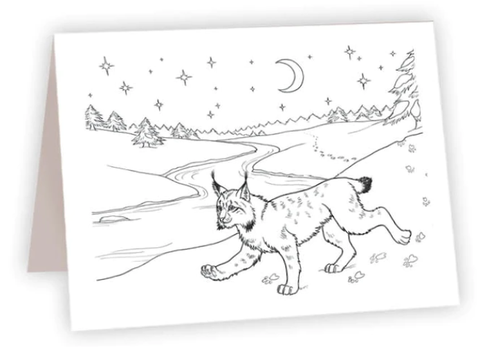 Lynx - Coloring NC