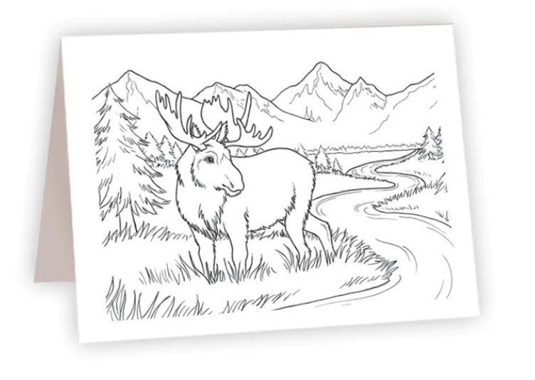 Moose in grass - Coloring NC