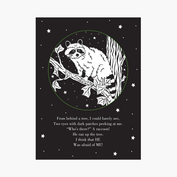 Whoo's There? Shadow Book