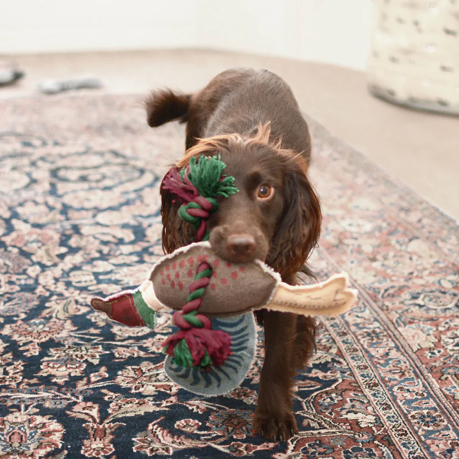 Dog Toy - Pheasant Rope