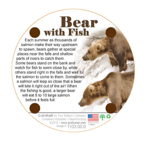 Coaster Bear With Fish