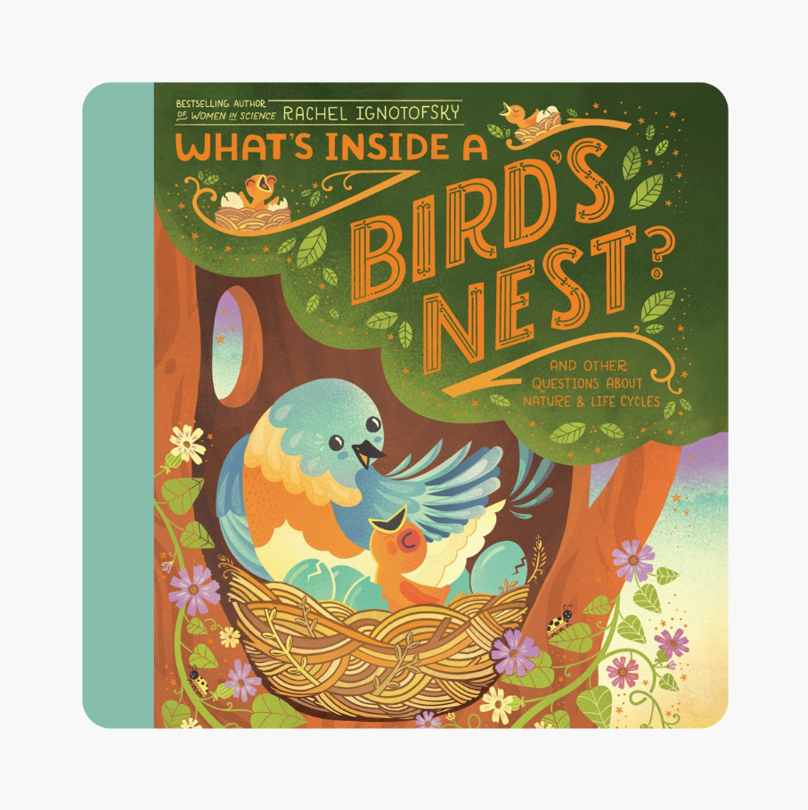 What's Inside Bird Nest?