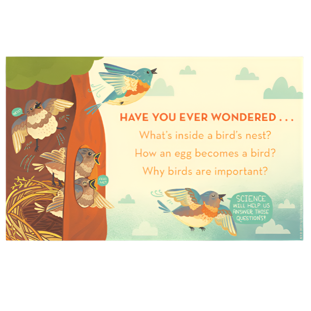 What's Inside Bird Nest?