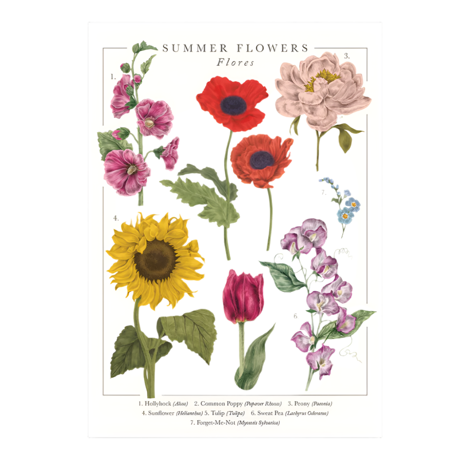 Summer Flowers Greeting Cards