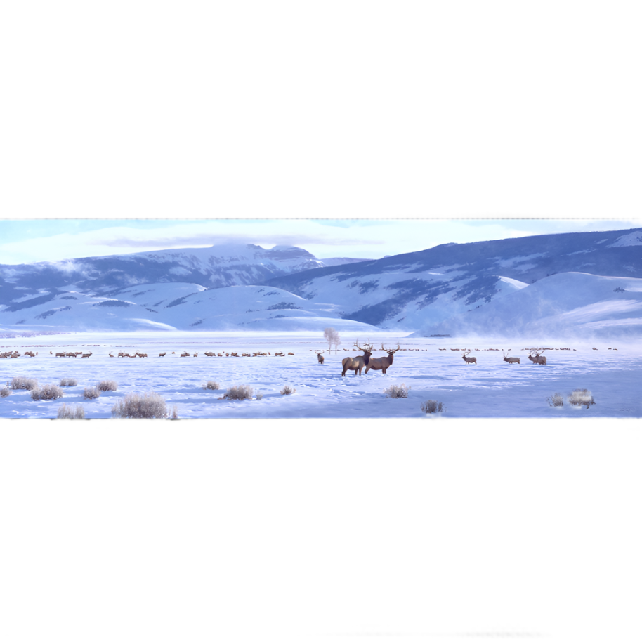 Framed The Refuge Tucker Smith