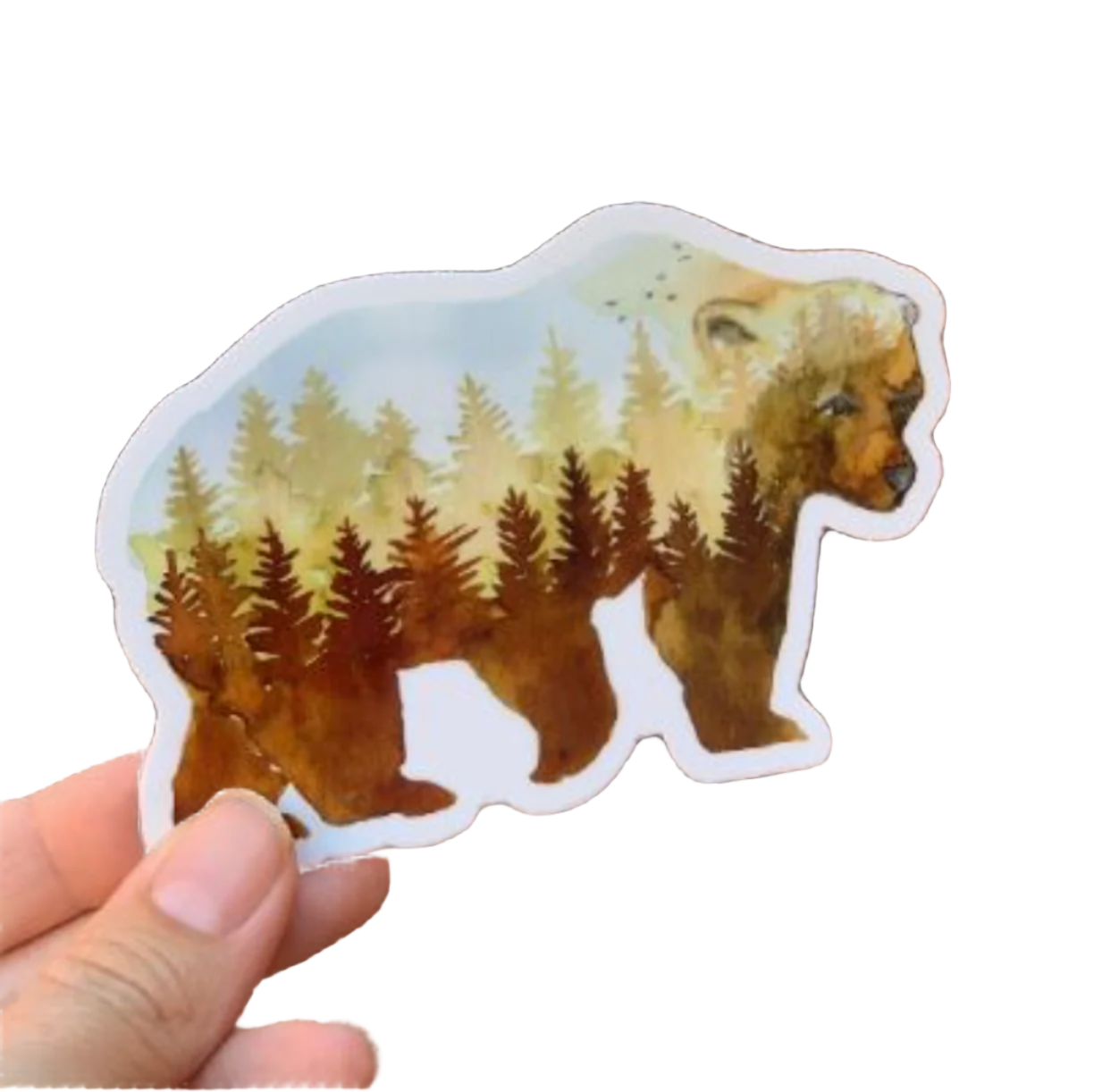 Bear Vinyl Sticker
