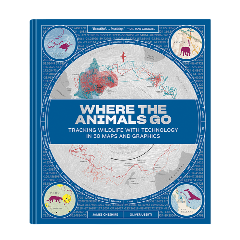 Where The Animals go?