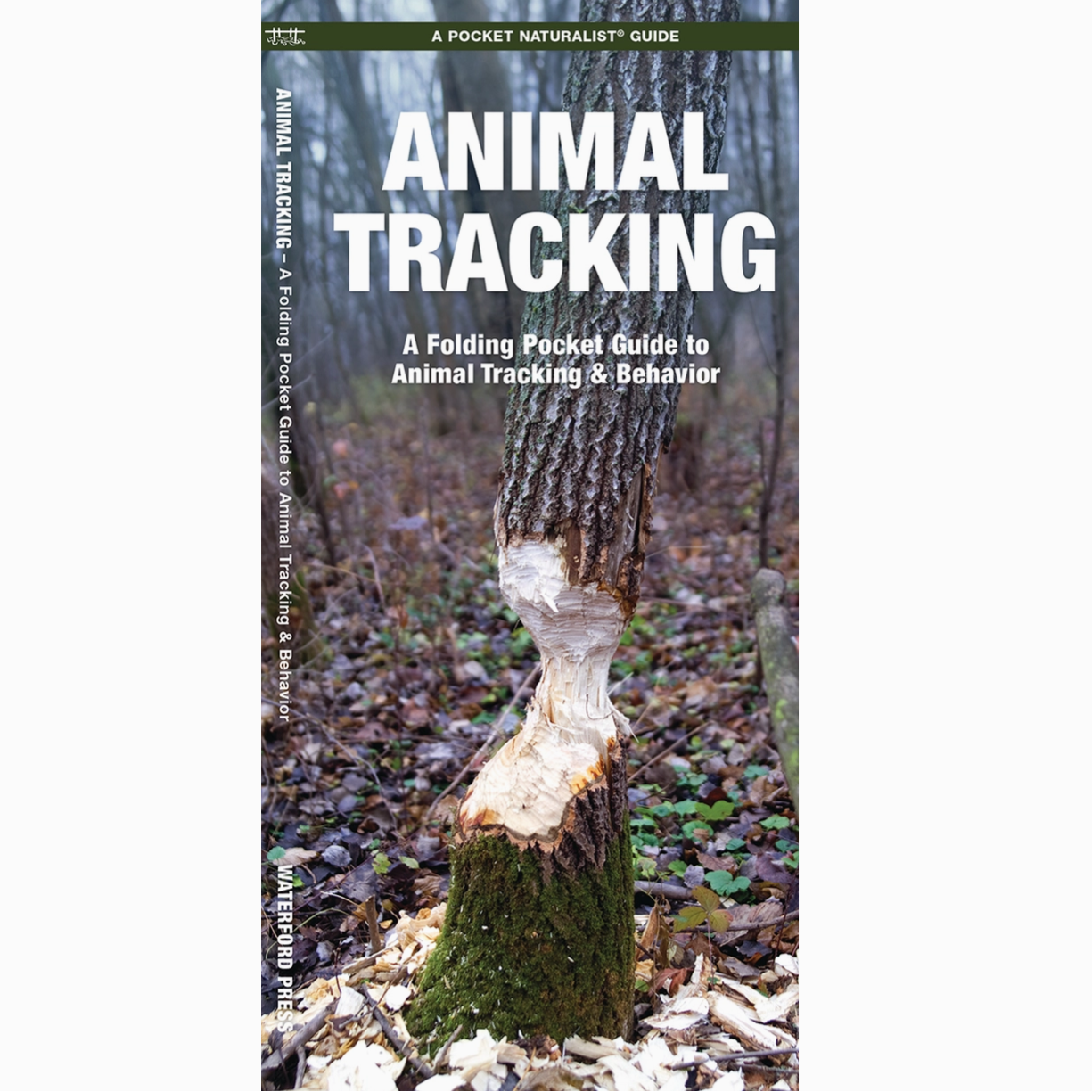 Animal Tracking: A Folding Pocket Guide