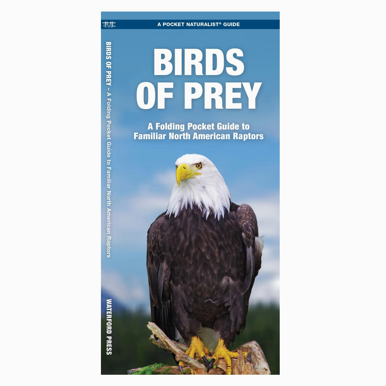 Birds of Prey: A Folding Pocket Guide To Familiar Raptors