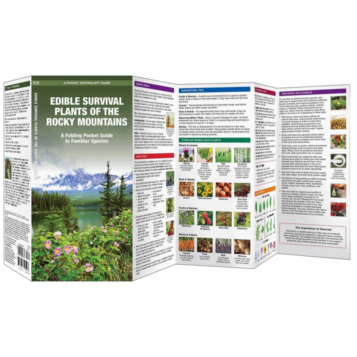 Edible Survival Plants of the Rocky Mountains Field Guide