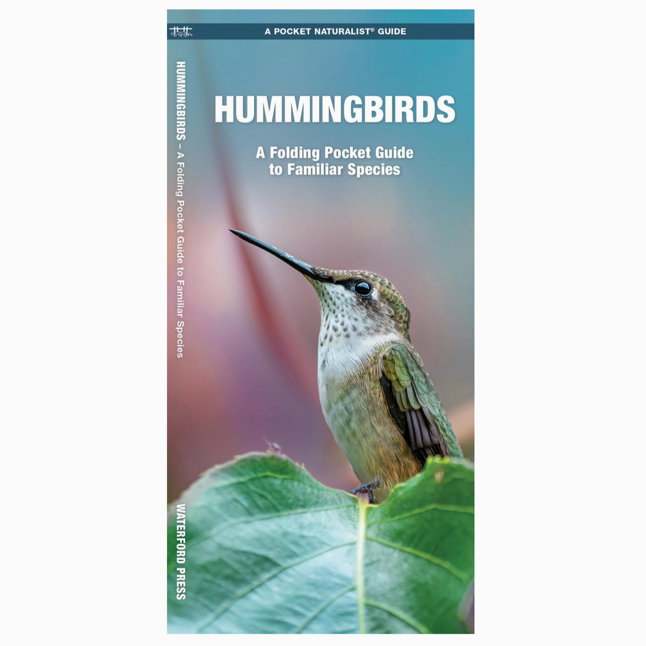 Hummingbirds: A Folding Pocket Guide To Familiar Species