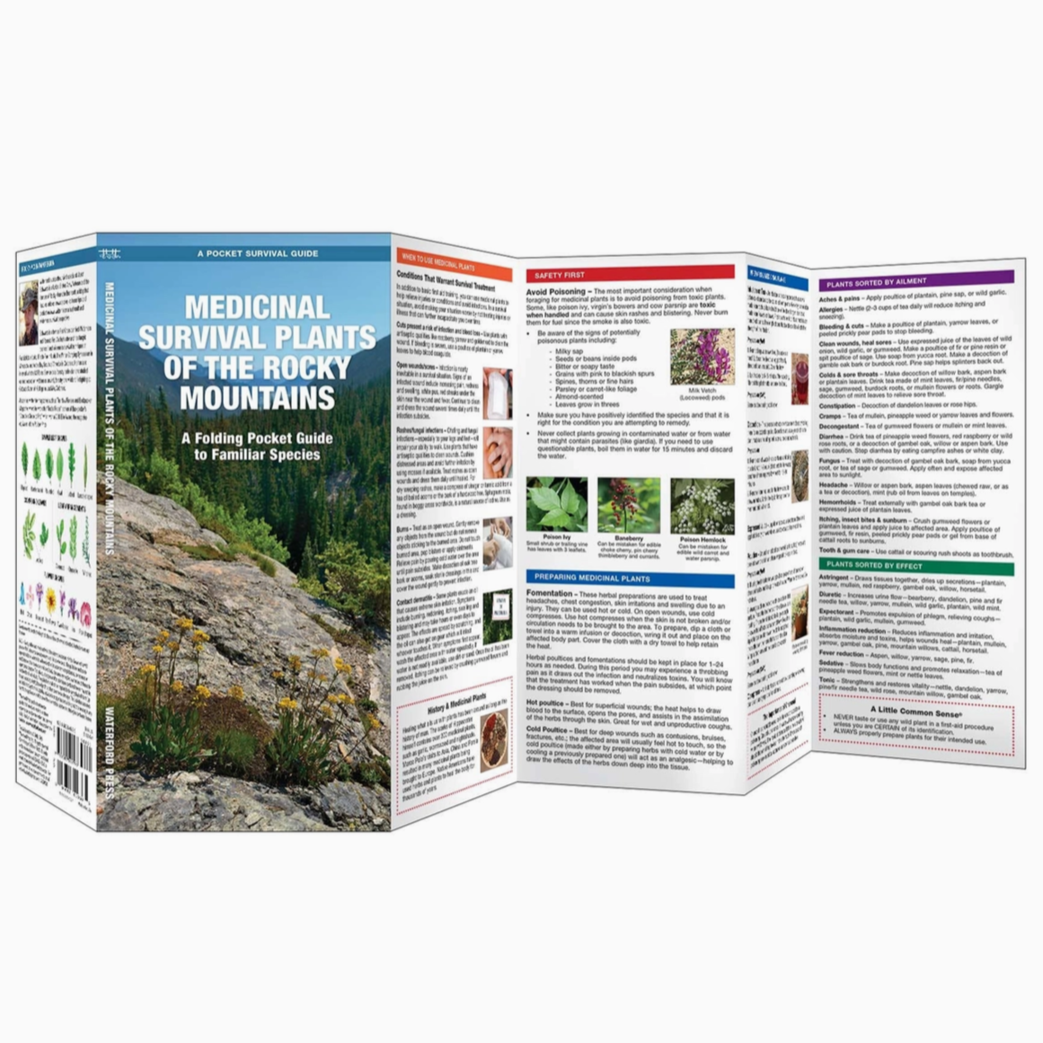 Medicinal Survival Plants of the Rocky Mountains Field Guide