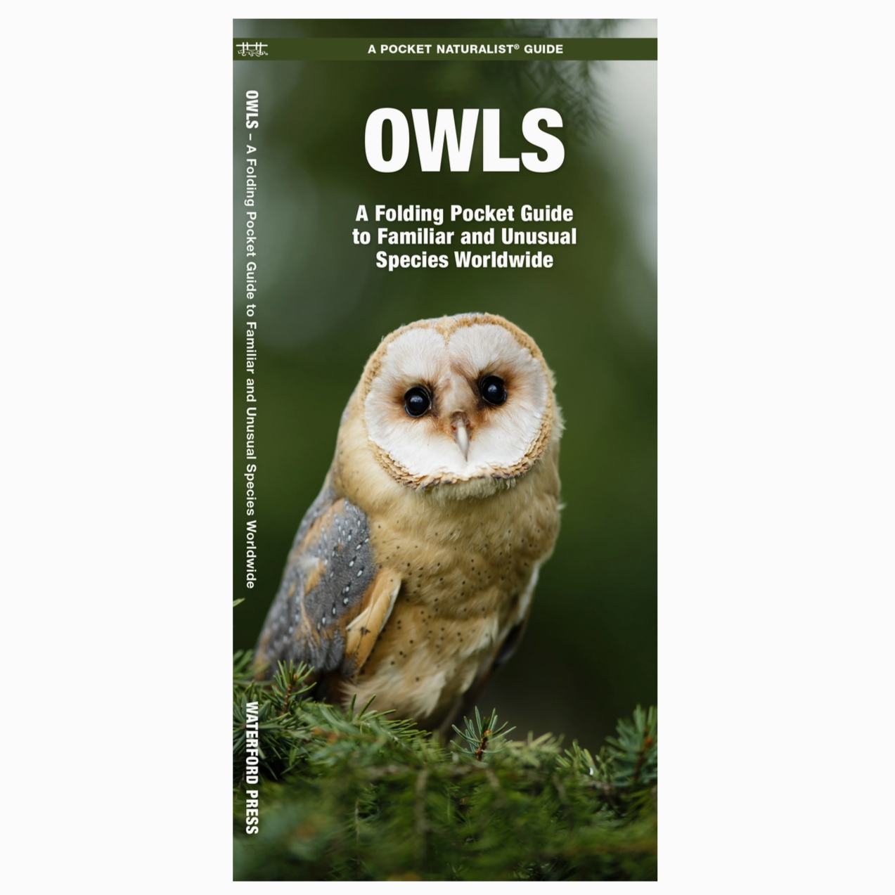 Owls: Folding Pocket Guide