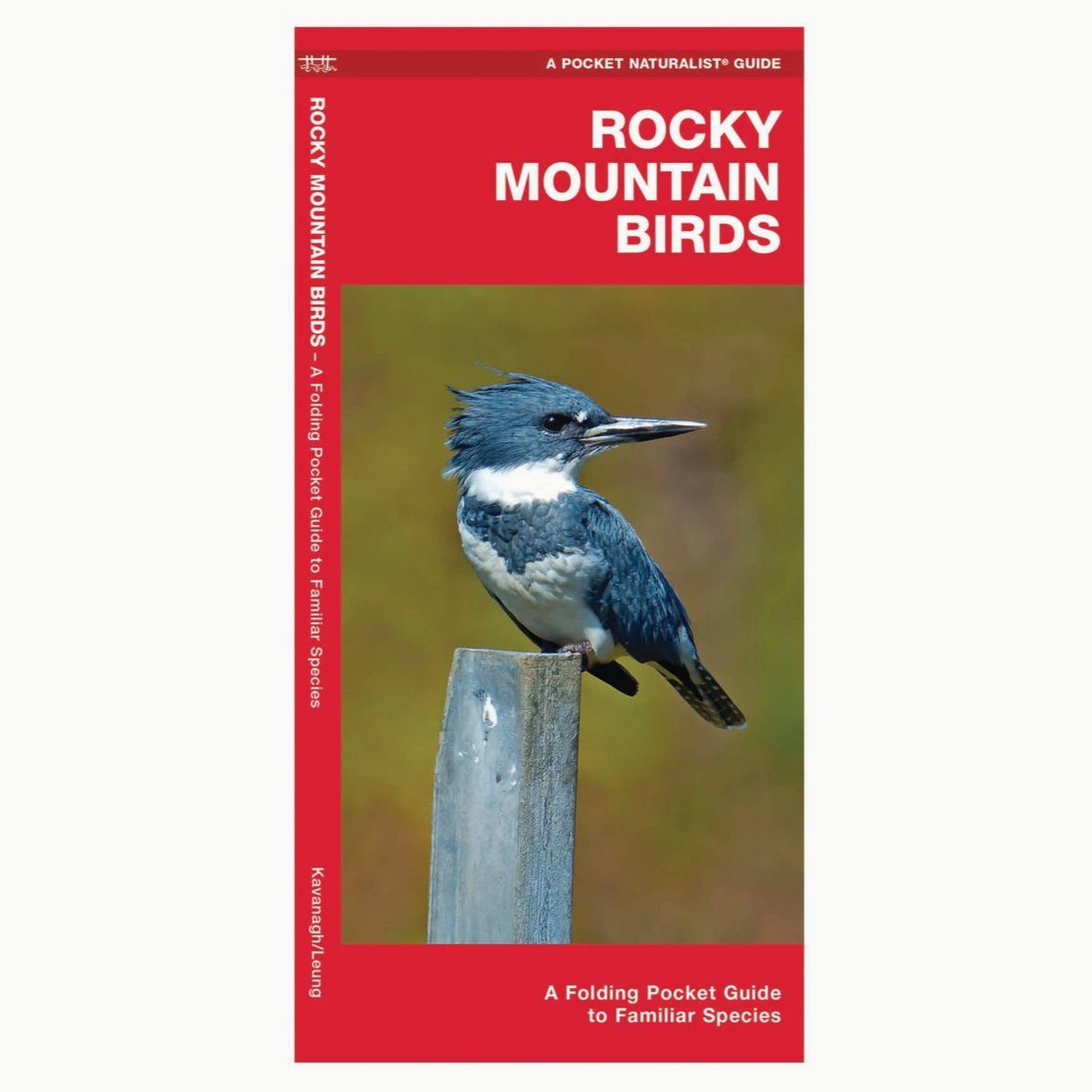 Rocky Mountain Birds Nature Guide