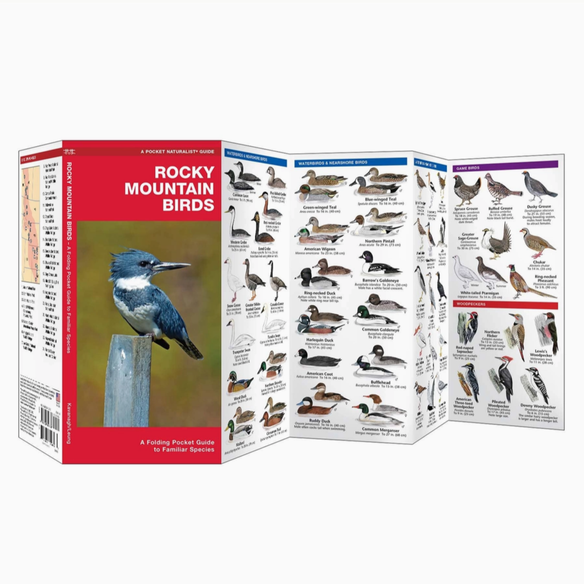 Rocky Mountain Birds Nature Guide