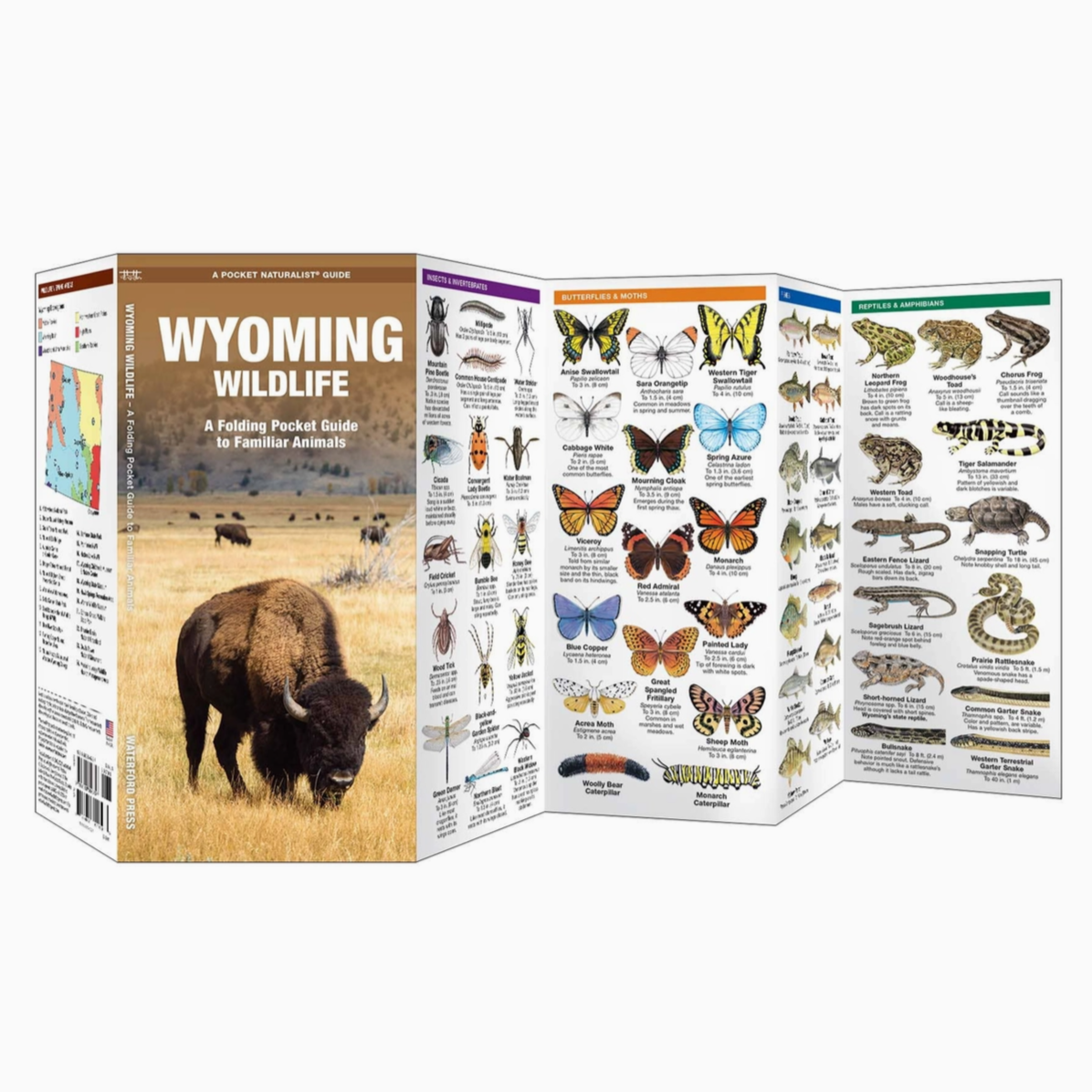 Wyoming Wildlife Nature Guide