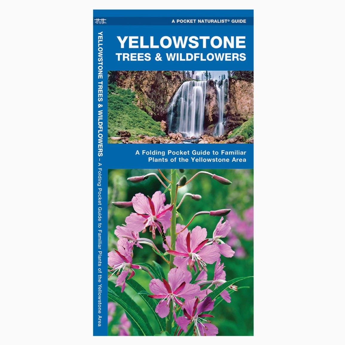 Yellowstone Trees & Wildflowers Nature Guide