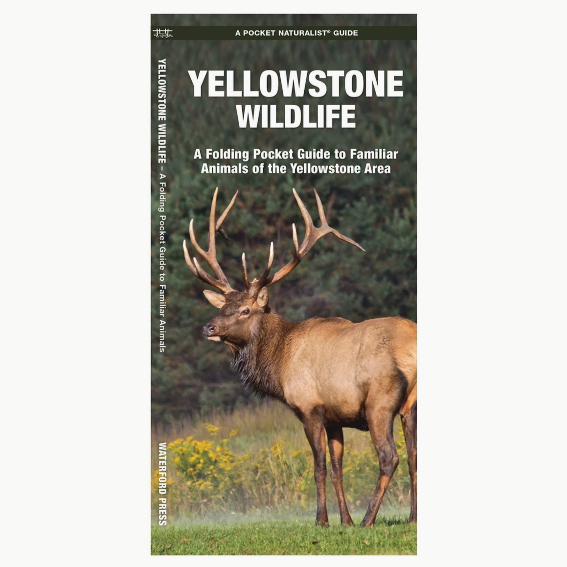 Yellowstone Wildlife Nature Guide