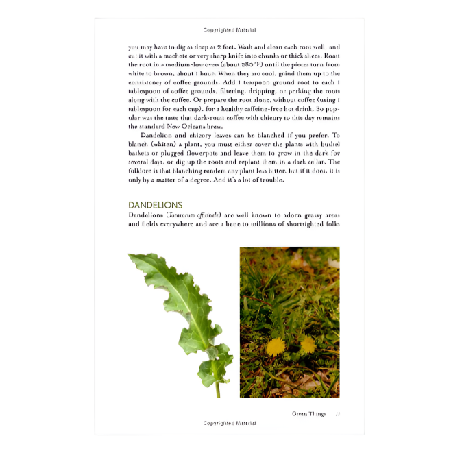 Complete Guide To Edible Wild Plants and Mushrooms