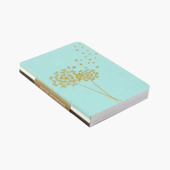 Jotter Mini Notebook Set: Dandelion Wishes