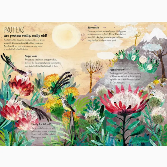 The Big Book of Blooms