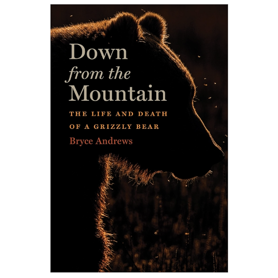 Down From The Mountain: The Life and Death of a Grizzly Bear