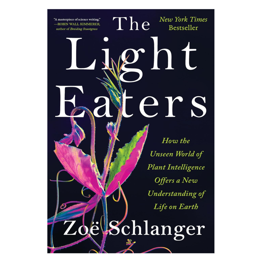 The Light Eaters: How the Unseen World of Plant Intelligence Offers a New Understanding of Life on Earth
