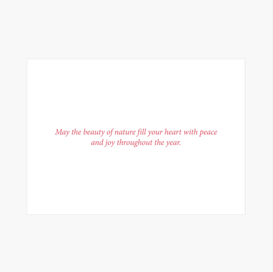 Winter Wonderland Deluxe Boxed Holiday Cards