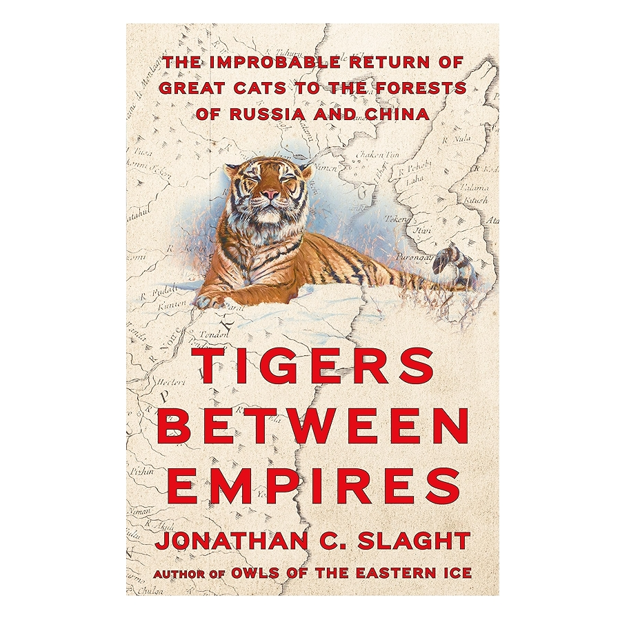 Tigers Between Empires: The Improbable Return of Great Cats to the Forests of Russia and China