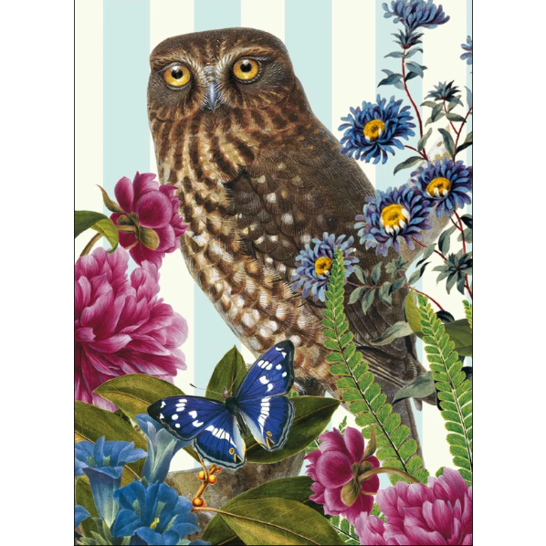 Morepork Owl Blank Card