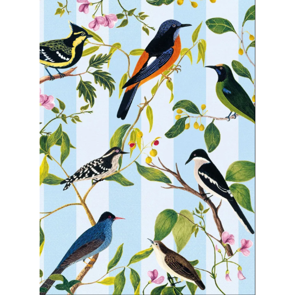 Rock Thrush Blank Card