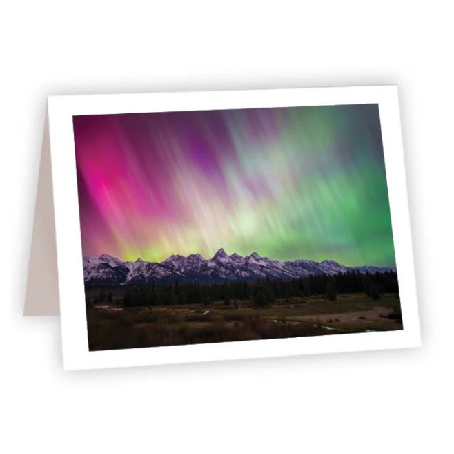 NC Nothern Lights