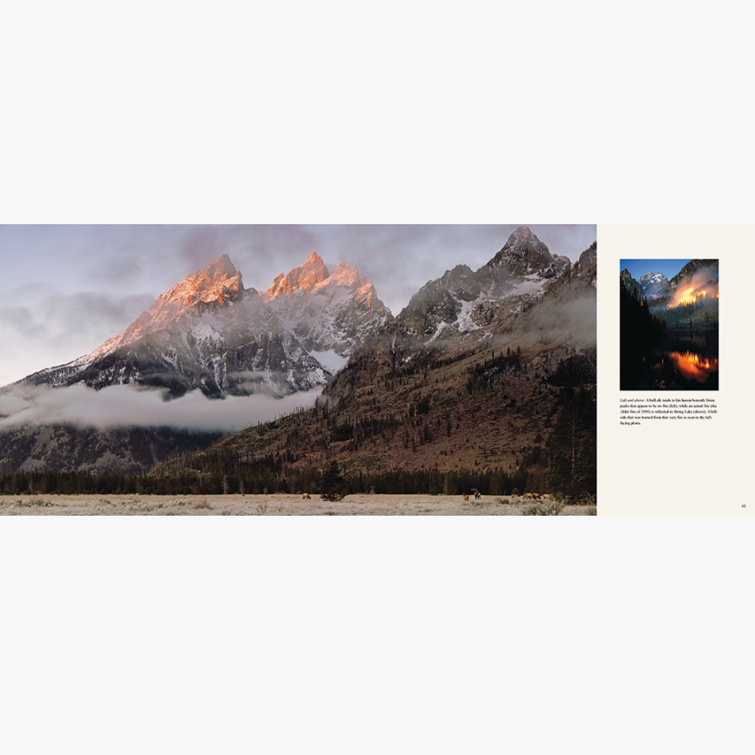 Seeing Yellowstone and Grand Teton National Parks