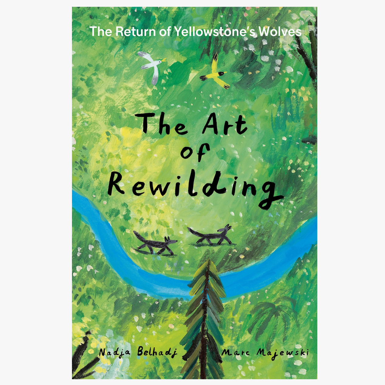 The Art of Rewilding: the Return of Yellowstone's Wolves