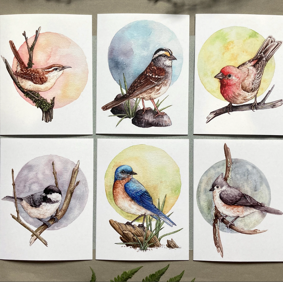 Card Set - 12 Backyard Birds On Blank Recycled Cards