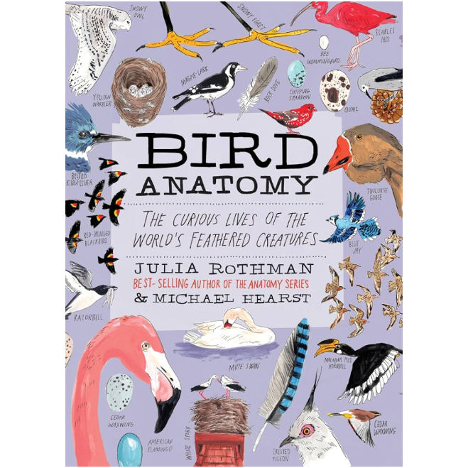 Bird Anatomy: The Curious Lives of the World's Feathered Creatures