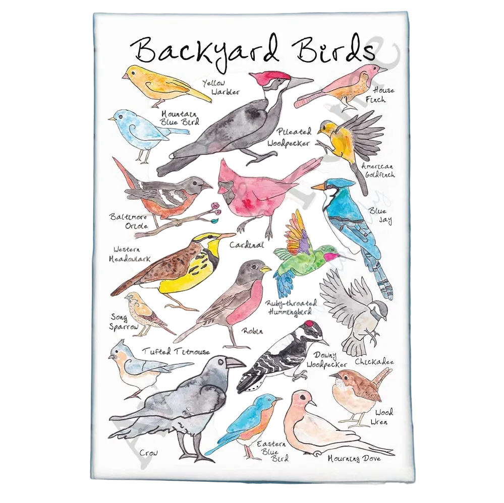 Backyard birds