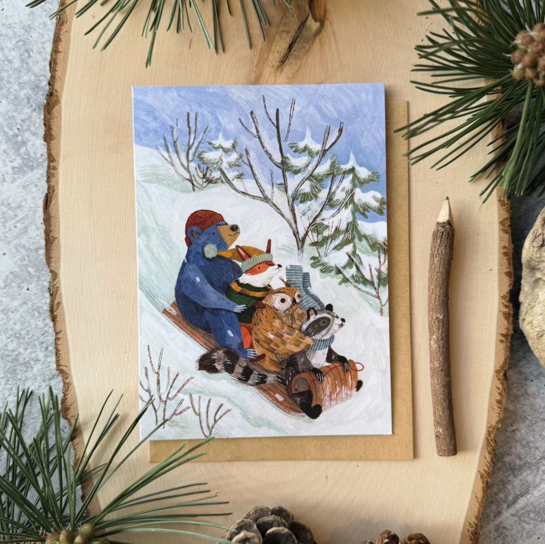 Snow Sledding Cards (Boxed Card Set)