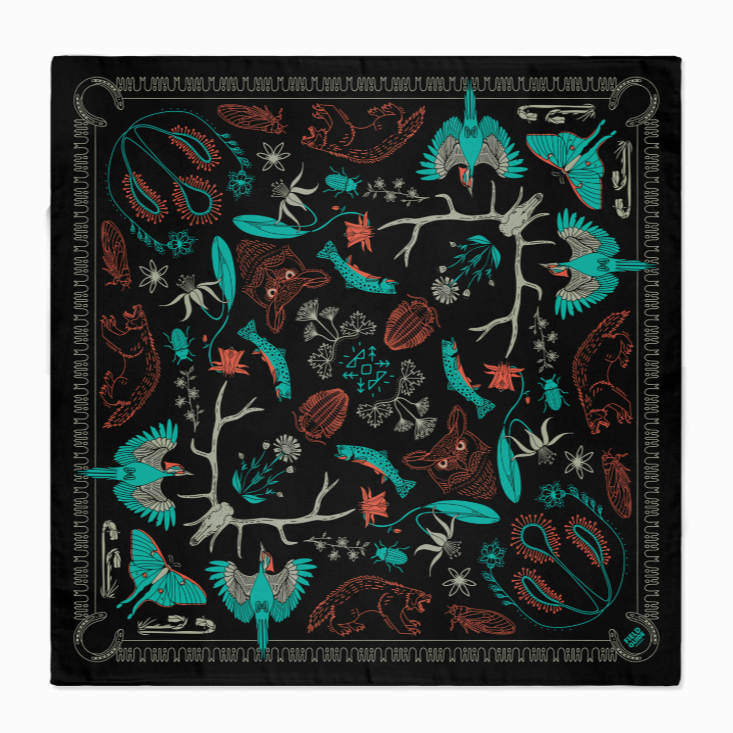 Landmark Bandanas