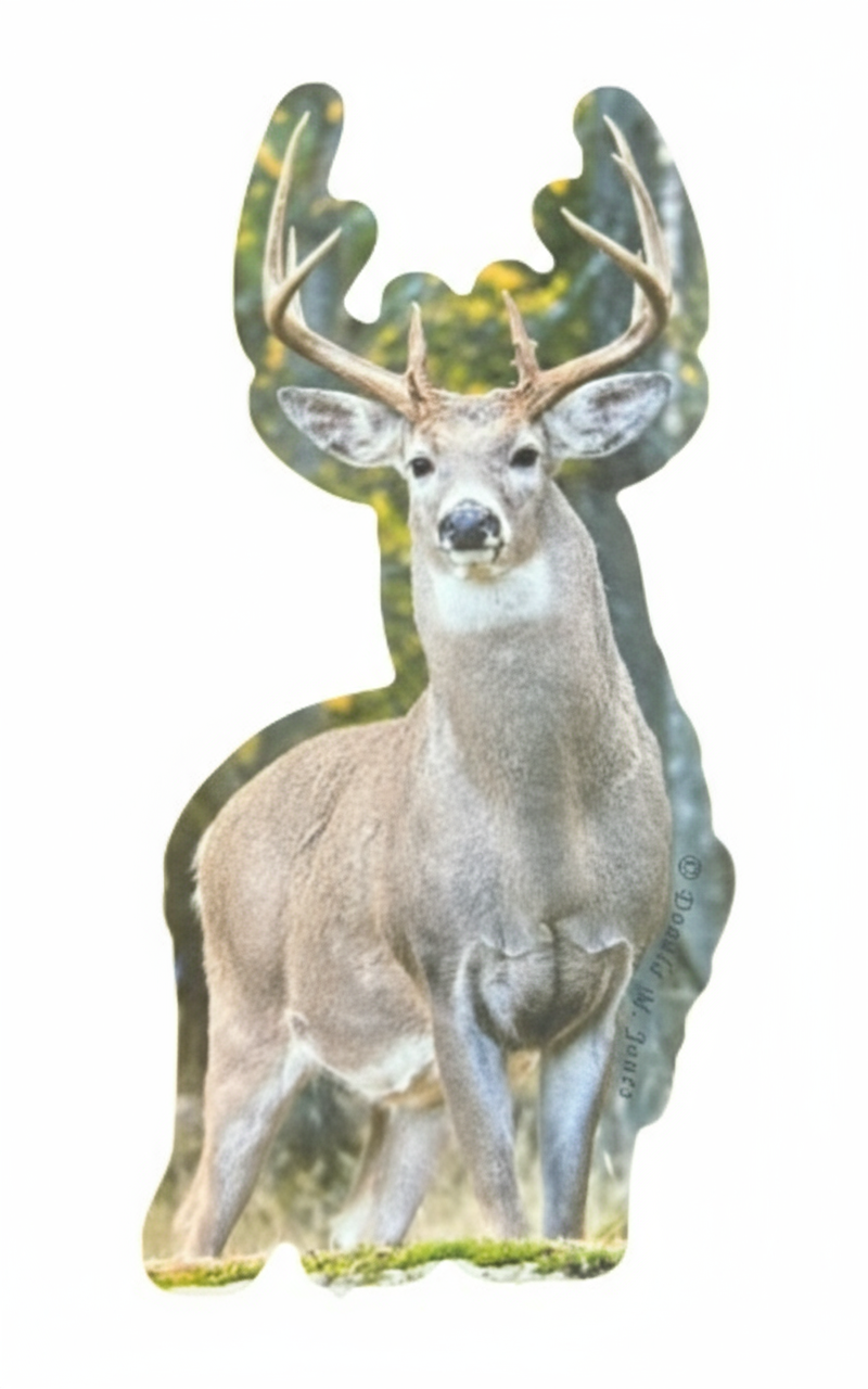 Whitetail Sticker