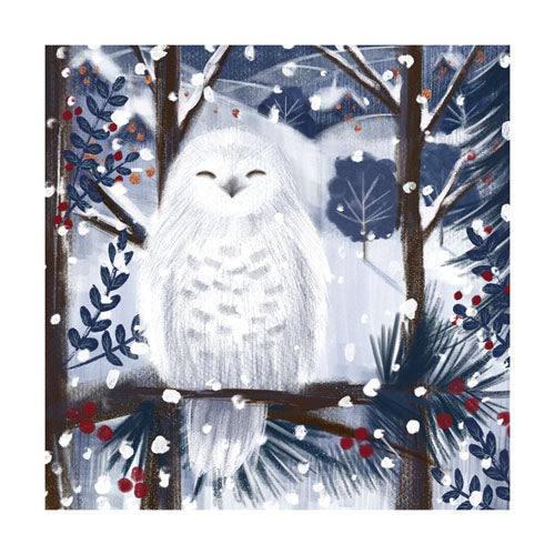 Snowy Owl Boxed Cards Set