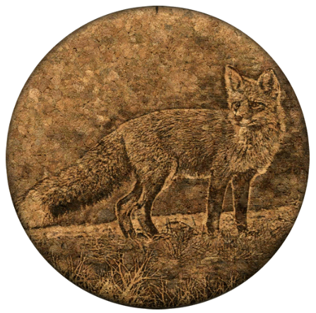Coaster Red Fox